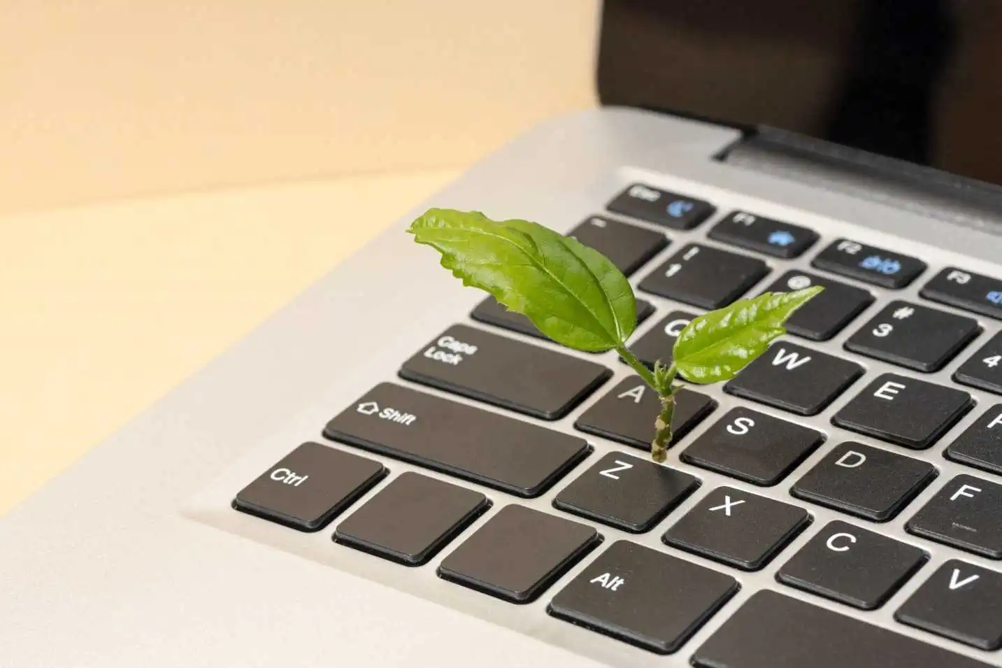 Sustainable Tech The Push for Eco-Friendly Computing