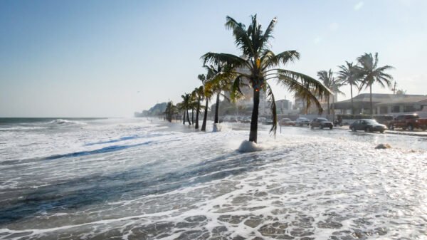The Rising Tide How Coastal Cities Are Tackling Sea-Level Surge
